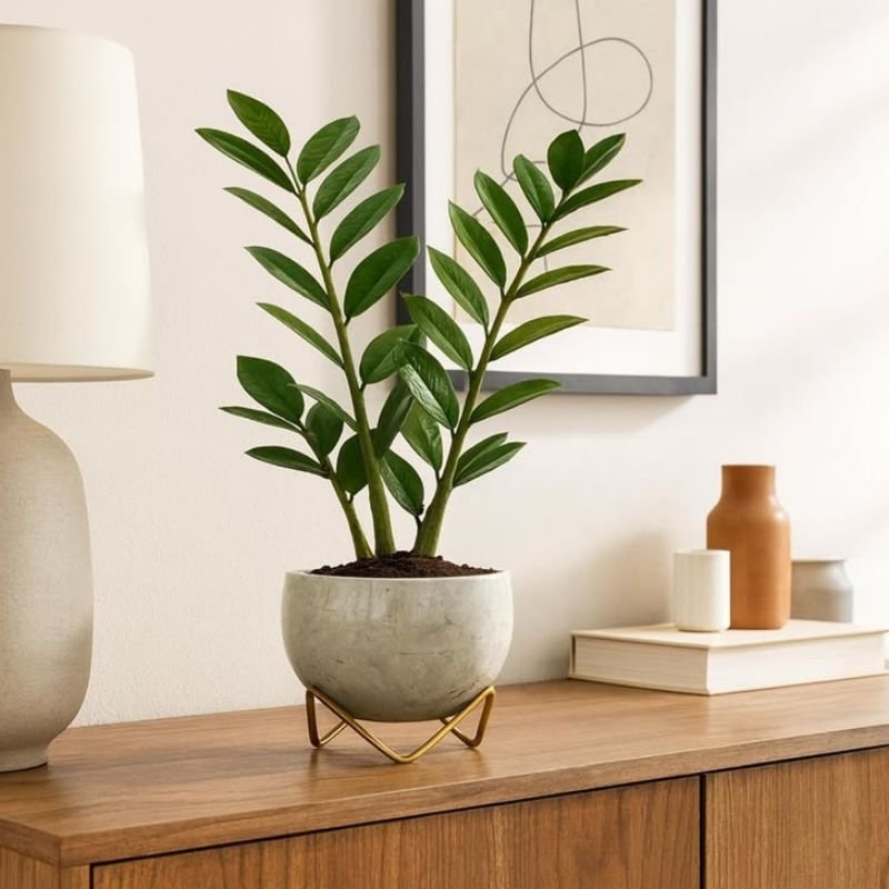 home office plant stand productivity setup