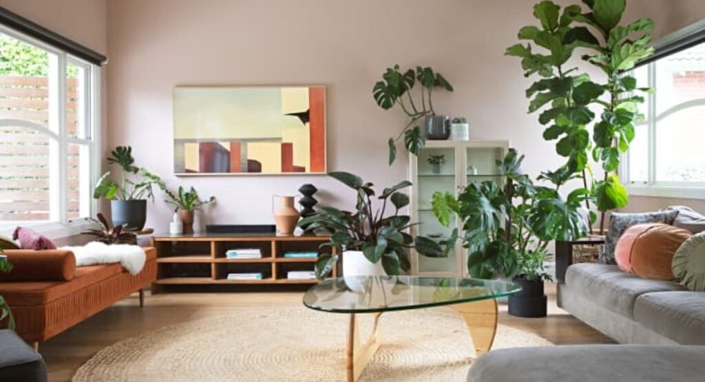 Transform Your Home with Large Indoor Plants