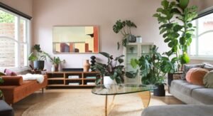 Transform Your Home with Large Indoor Plants